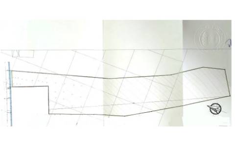 Terreno / Farraposa / Colmeias / Leiria