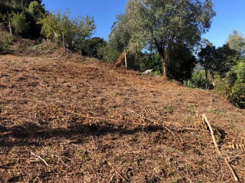 Terreno para construção / 1330 m2 / Cereijinha / Ceira / Coimbra