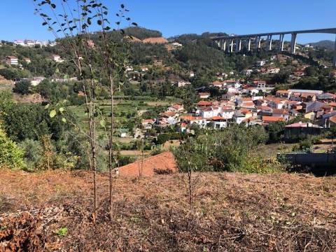 Terreno para construção / 1330 m2 / Cereijinha / Ceira / Coimbra