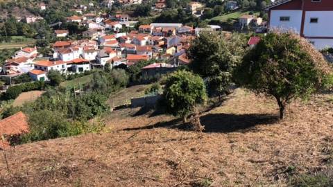 Terreno para construção / 1330 m2 / Cereijinha / Ceira / Coimbra