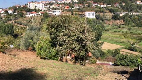 Terreno para construção / 1330 m2 / Cereijinha / Ceira / Coimbra