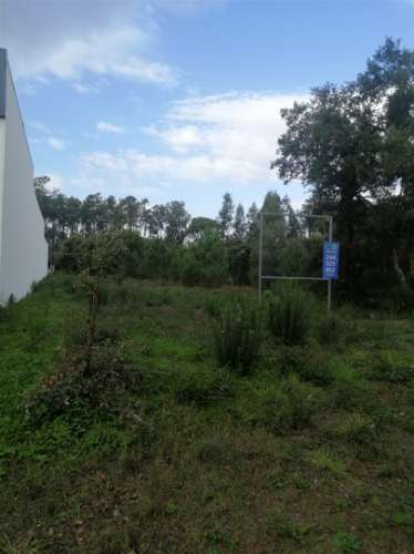 Terreno plano para construção / 2170 m2 / Segodim / Leiria