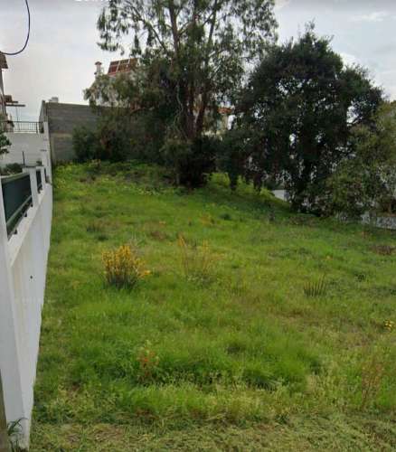 Terreno para construção / S.Romão / Leiria