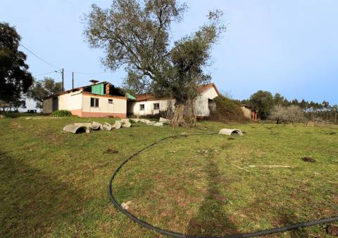 Quinta / Herdade / Terreno / Souto da Carpalhosa