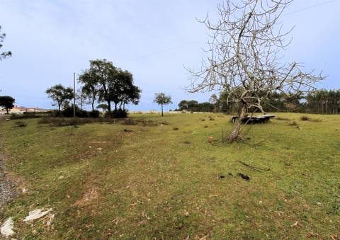 Quinta / Herdade / Terreno / Souto da Carpalhosa