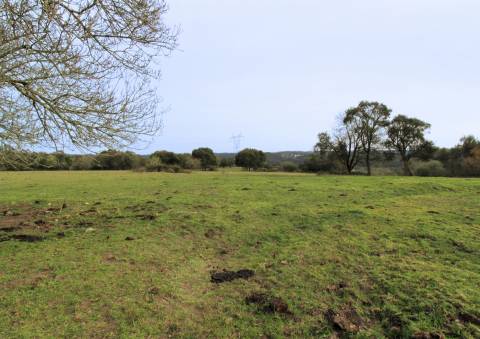 Quinta / Herdade / Terreno / Souto da Carpalhosa