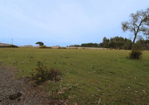 Quinta / Herdade / Terreno / Souto da Carpalhosa