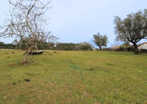 Quinta / Herdade / Terreno / Souto da Carpalhosa