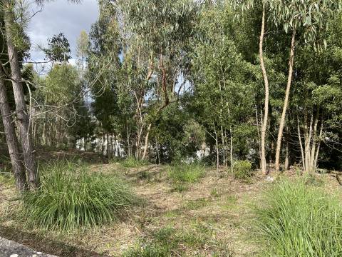 Terreno  Venda em Leiria, Pousos, Barreira e Cortes,Leiria