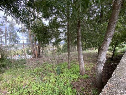 Terreno  Venda em Leiria, Pousos, Barreira e Cortes,Leiria