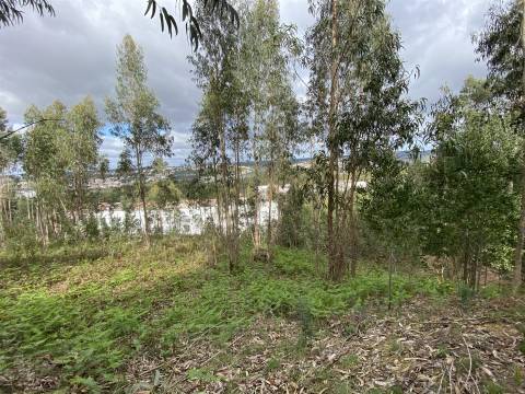 Terreno  Venda em Leiria, Pousos, Barreira e Cortes,Leiria