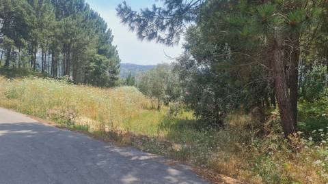 Terreno / Construção / Milagres / Leiria