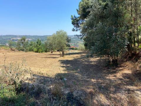 Terreno / Construção / Milagres / Leiria