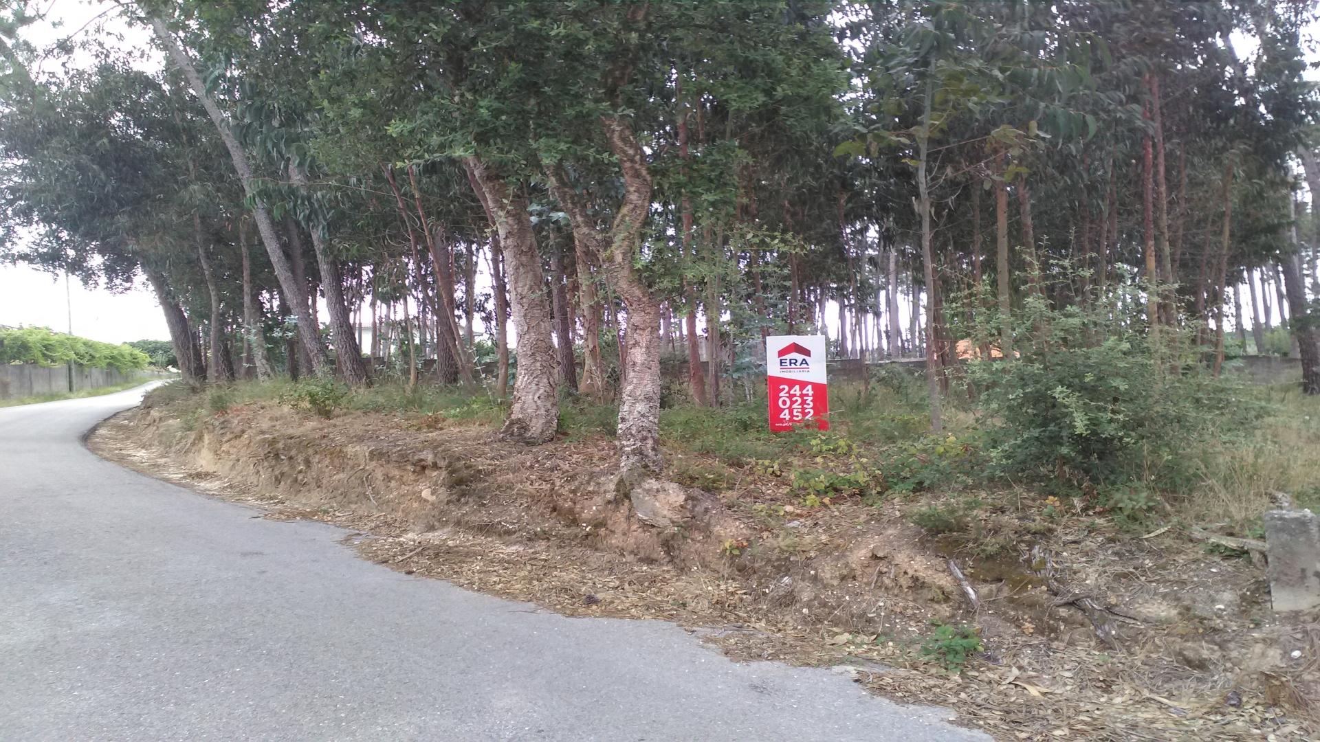 Terreno para construção, Ortigosa