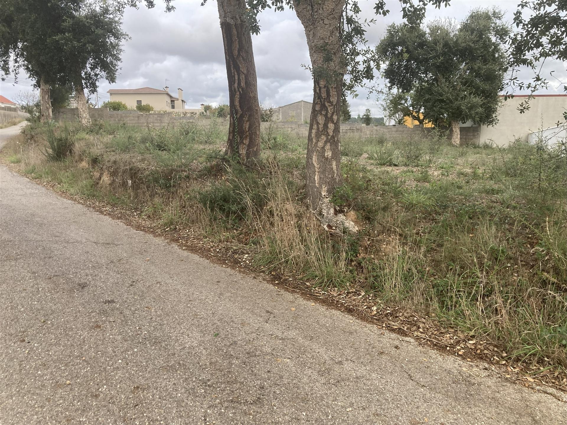 Terreno para construção, Ortigosa