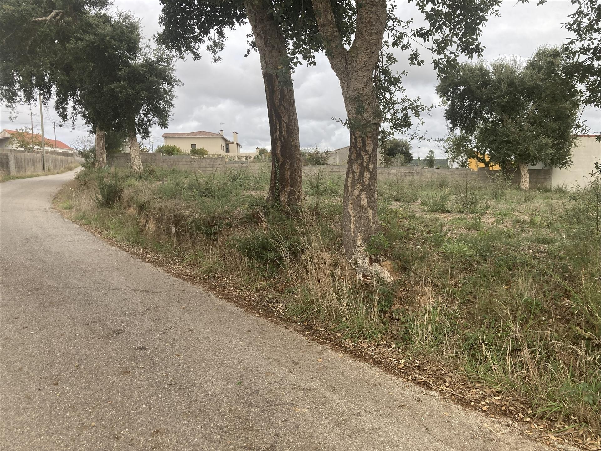 Terreno para construção, Ortigosa