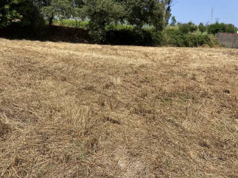 Terreno de construção Rustico / 1400m2 / Raposeira / Memoria