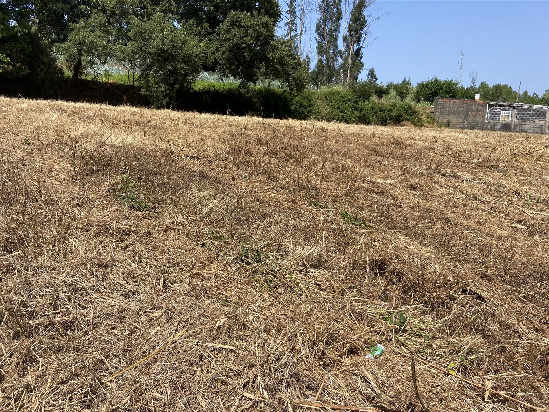 Terreno de construção Rustico / 1400m2 / Raposeira / Memoria
