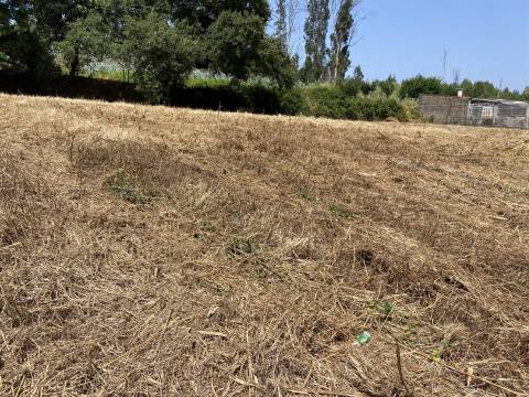 Terreno de construção Rustico / 1400m2 / Raposeira / Memoria