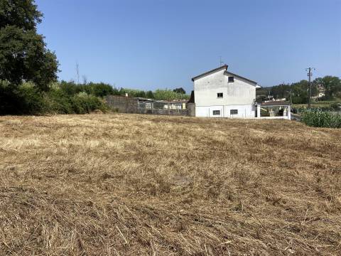 Terreno de construção Rustico / 1400m2 / Raposeira / Memoria