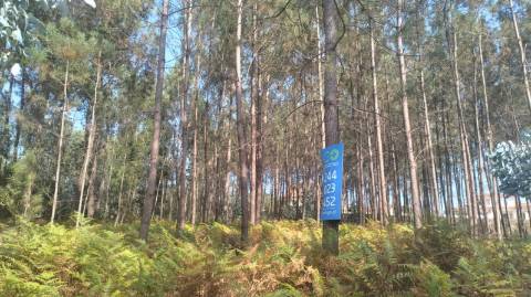 Terreno / Construção / Bidoeira de Baixo / Leiria