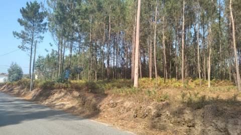 Terreno / Construção / Bidoeira de Baixo / Leiria