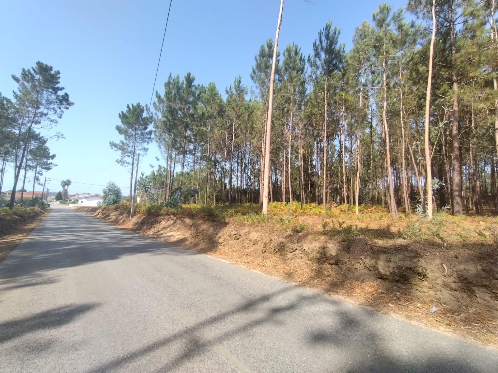 Terreno / Construção / Bidoeira de Baixo / Leiria