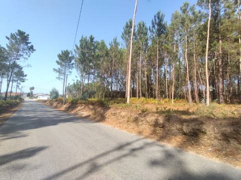 Terreno / Construção / Bidoeira de Baixo / Leiria