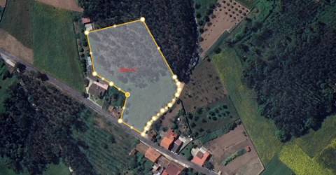 Terreno / Construção / Casalinho / Soure / Coimbra