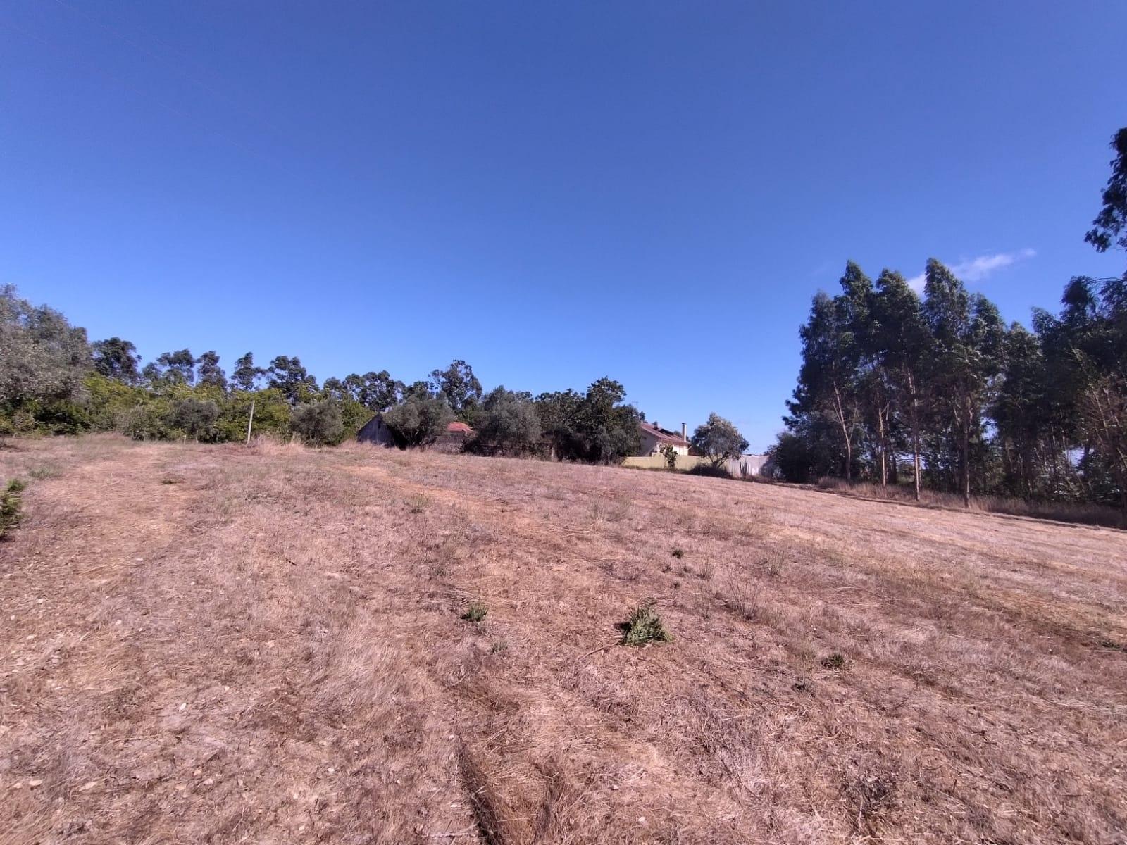 Terreno / Construção / Casalinho / Soure / Coimbra
