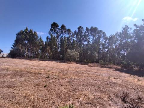 Terreno / Construção / Casalinho / Soure / Coimbra