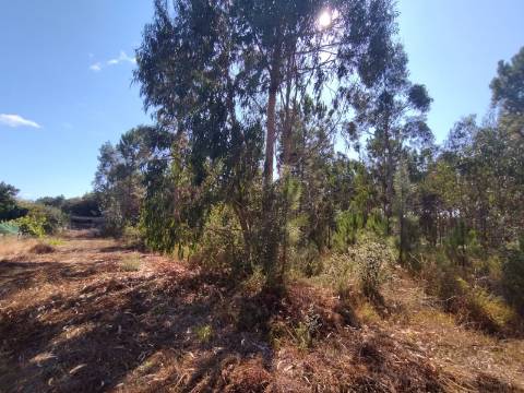 Terreno / Construção / Casalinho / Soure / Coimbra