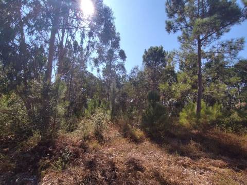 Terreno / Construção / Casalinho / Soure / Coimbra