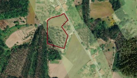 Terreno / Construção / Casalinho / Soure / Coimbra