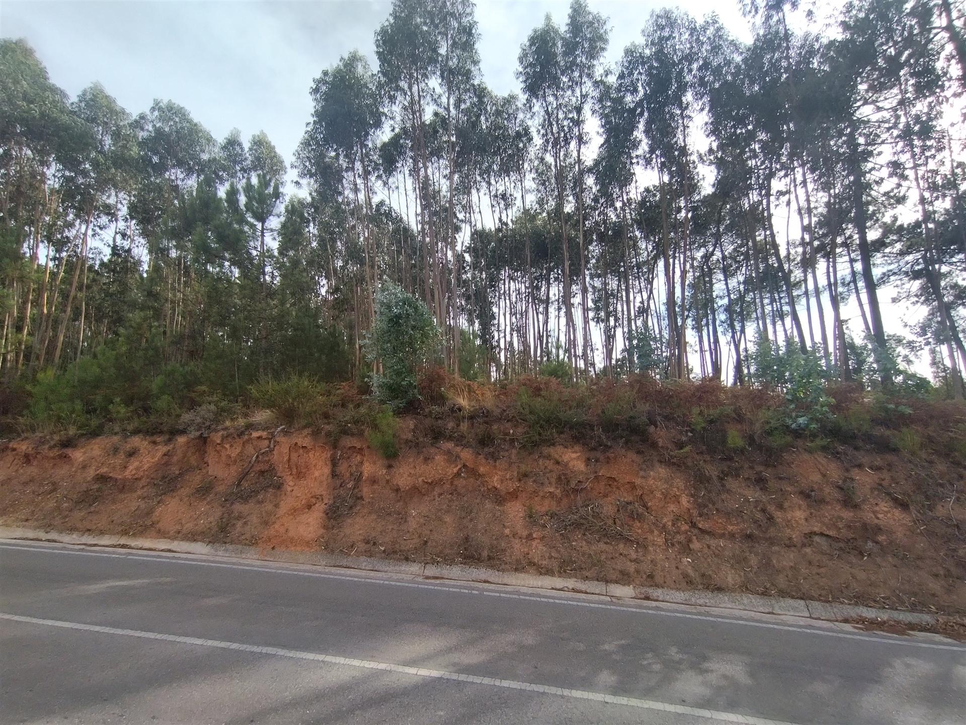 Terreno / Construção / Lameiras / Caranguejeira