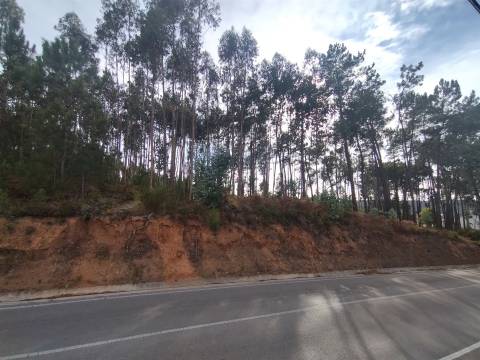 Terreno / Construção / Lameiras / Caranguejeira