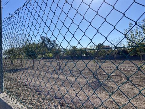 Terreno / Riba D´Aves / Ortigosa / Leiria