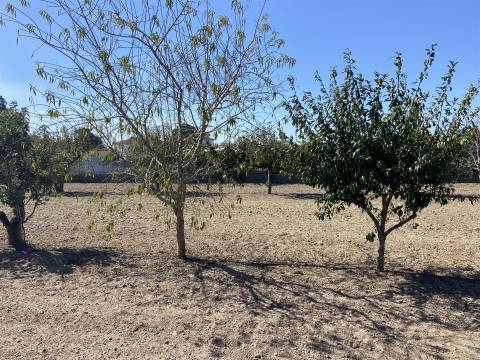 Terreno / Riba D´Aves / Ortigosa / Leiria