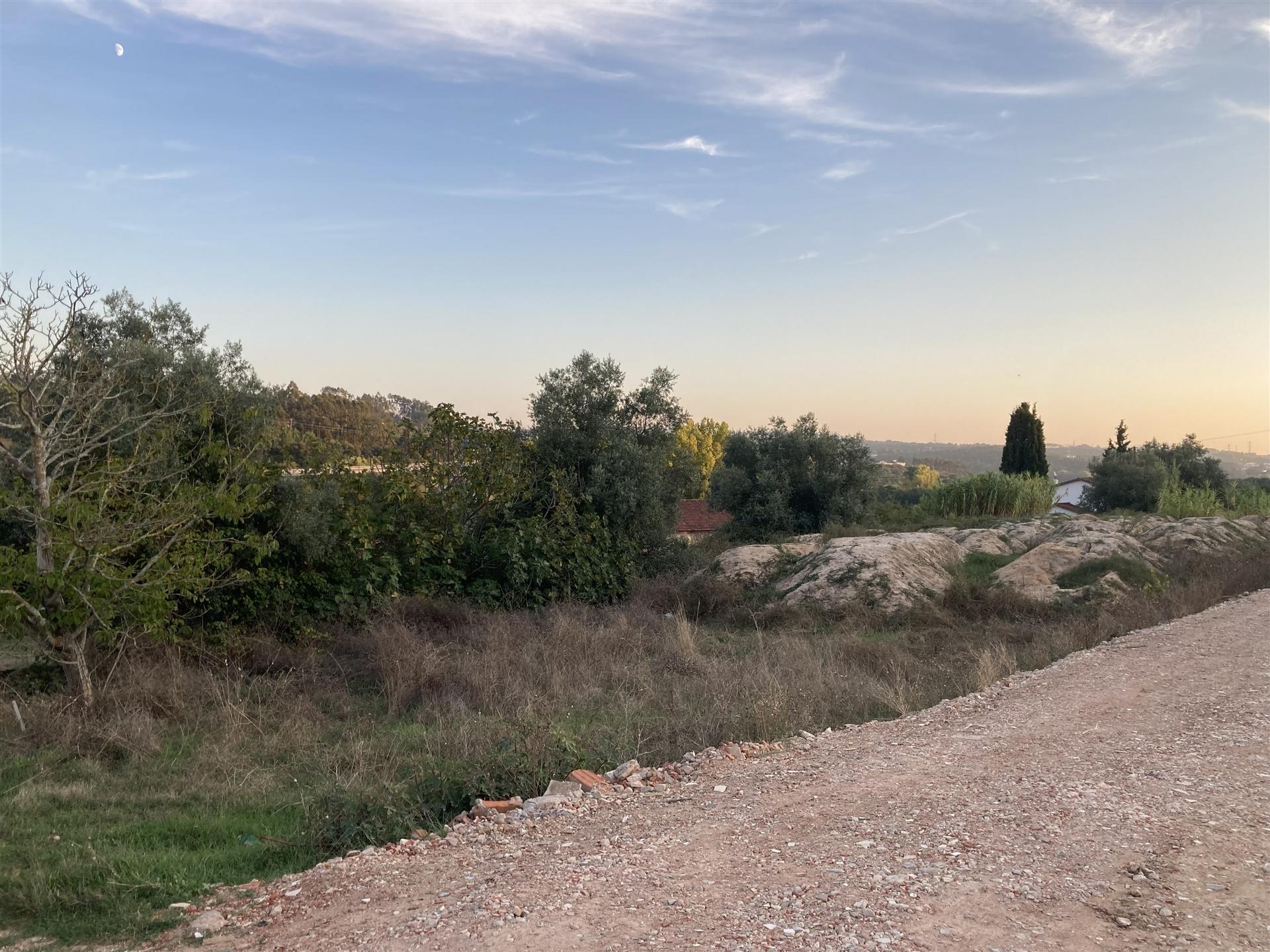Terreno / Construção / Boavista