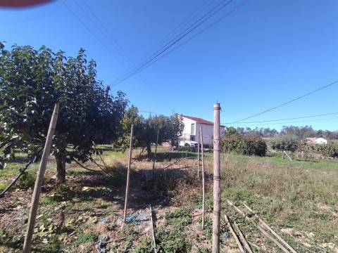 Armazém  Venda em Almagreira,Pombal