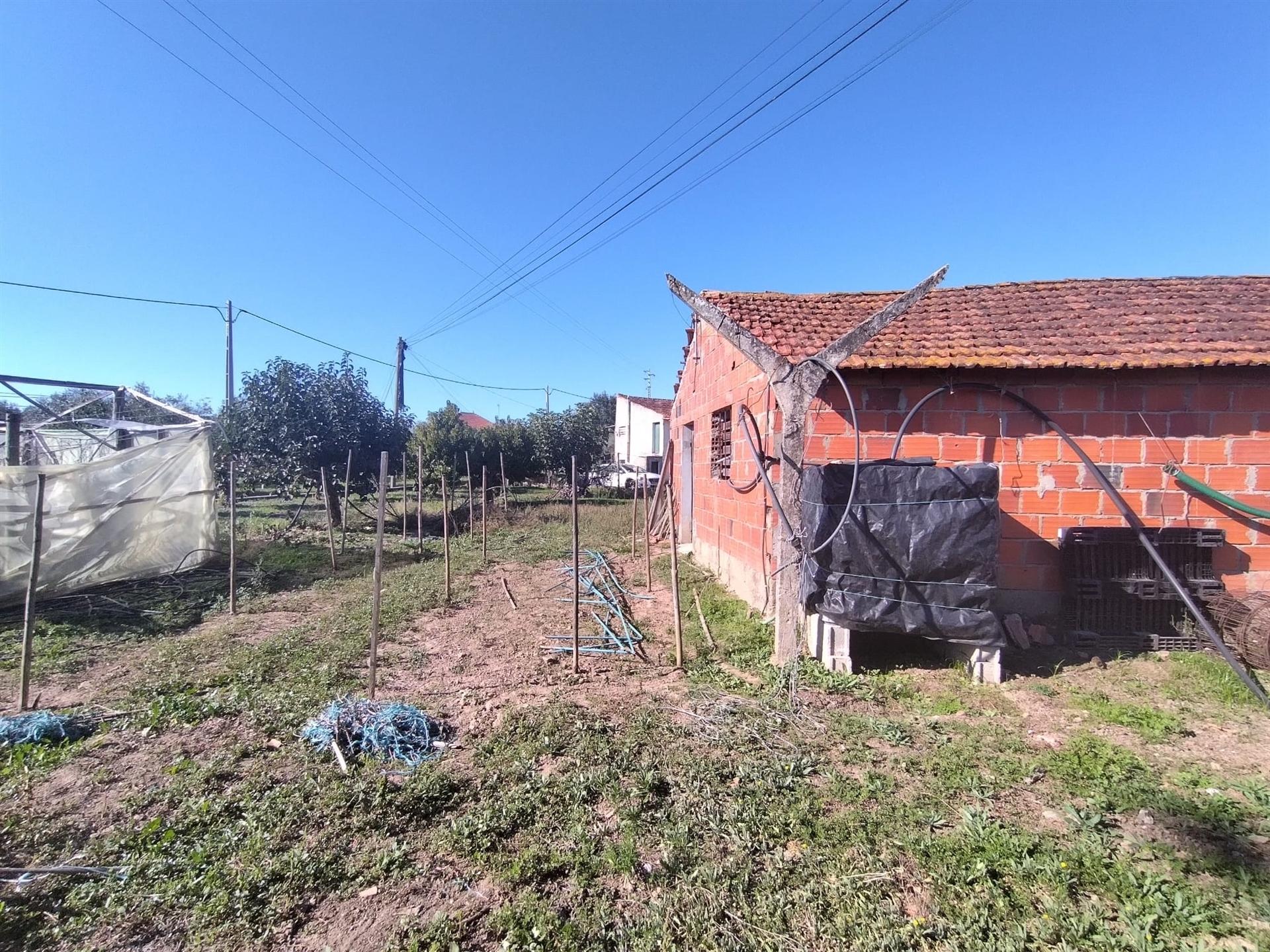 Armazém  Venda em Almagreira,Pombal