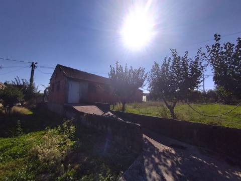 Armazém  Venda em Almagreira,Pombal