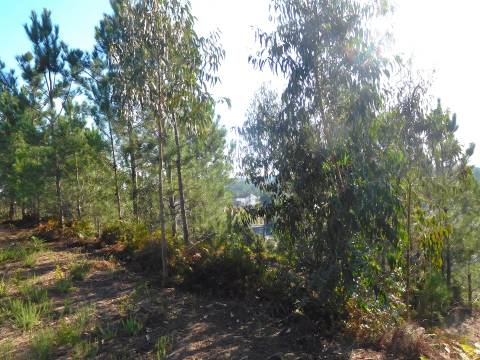 OPORTUNIDADE / Quinta com Moradia T3 / Vinha da Rainha / Soure / Coimbra