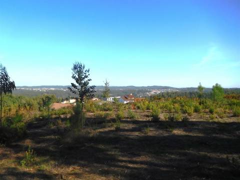 OPORTUNIDADE / Quinta com Moradia T3 / Vinha da Rainha / Soure / Coimbra