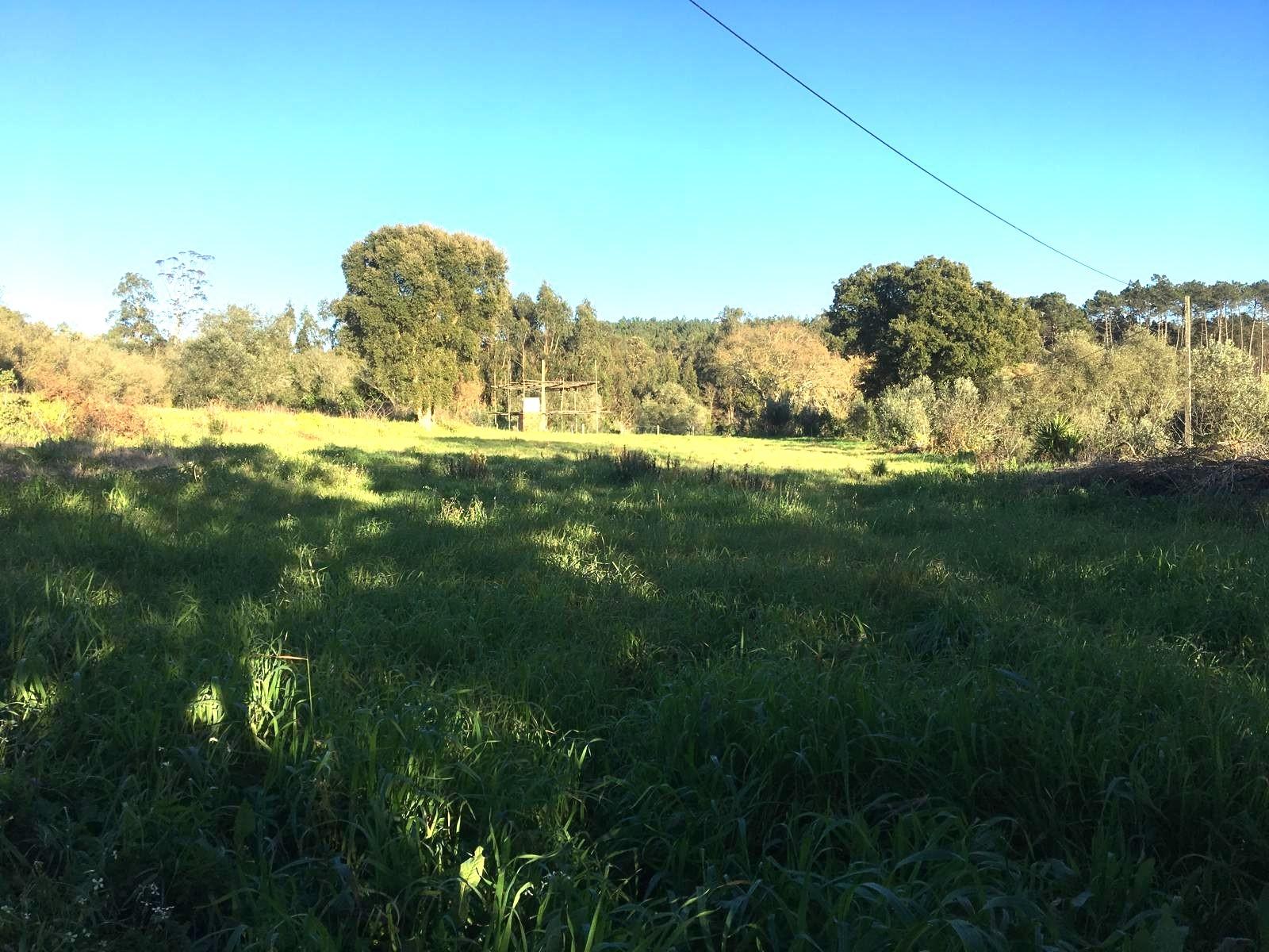 Terreno / Construção / Matoeira / Regueira de Pontes / Leiria