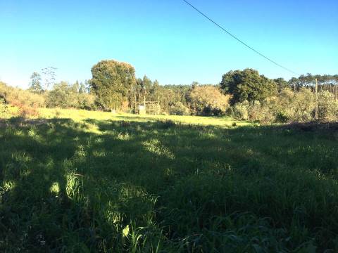Terreno / Construção / Matoeira / Regueira de Pontes / Leiria