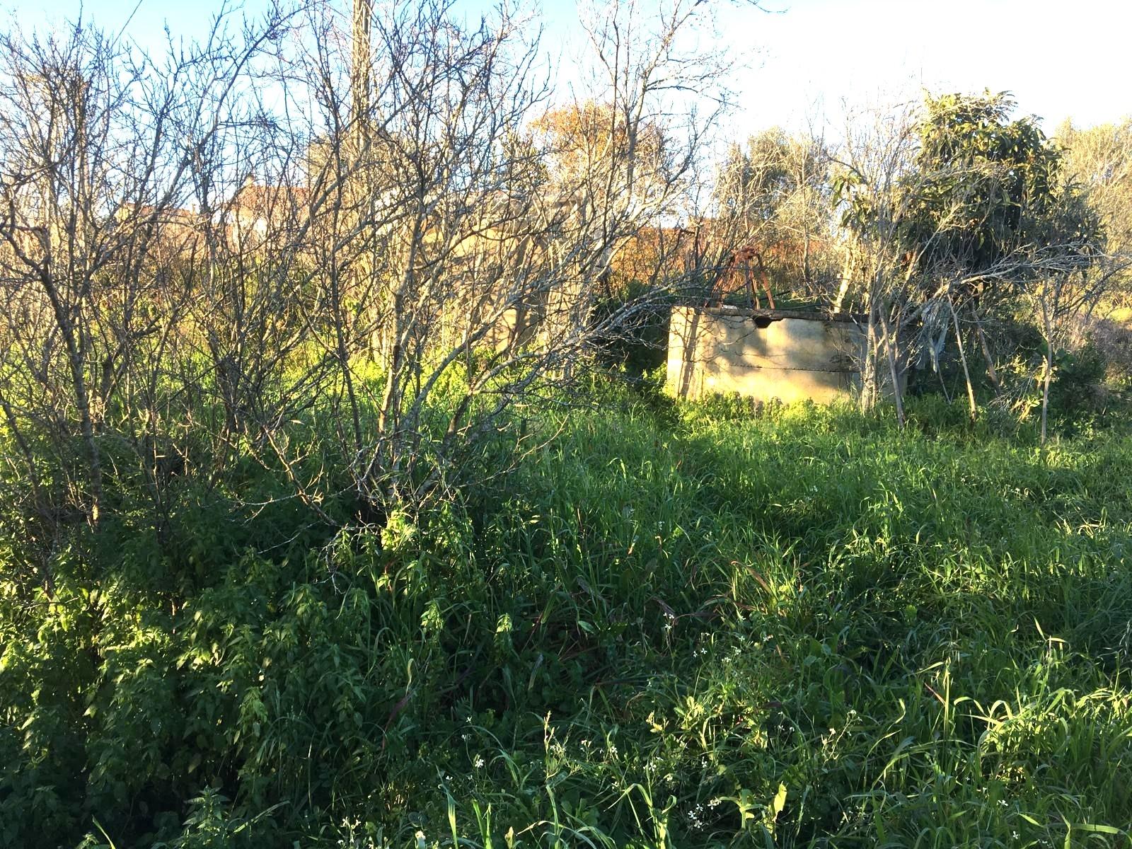 Terreno / Construção / Matoeira / Regueira de Pontes / Leiria