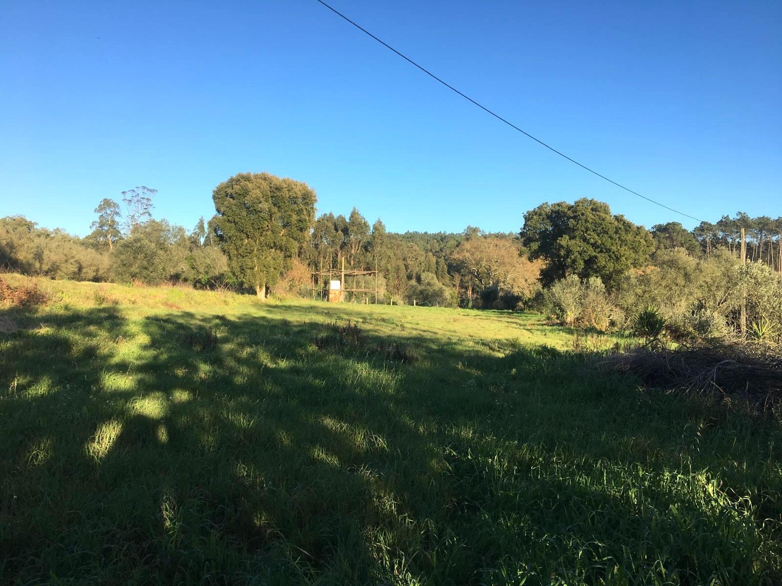 Terreno / Construção / Matoeira / Regueira de Pontes / Leiria