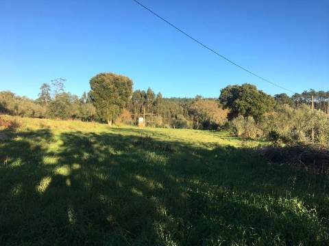 Terreno / Construção / Matoeira / Regueira de Pontes / Leiria