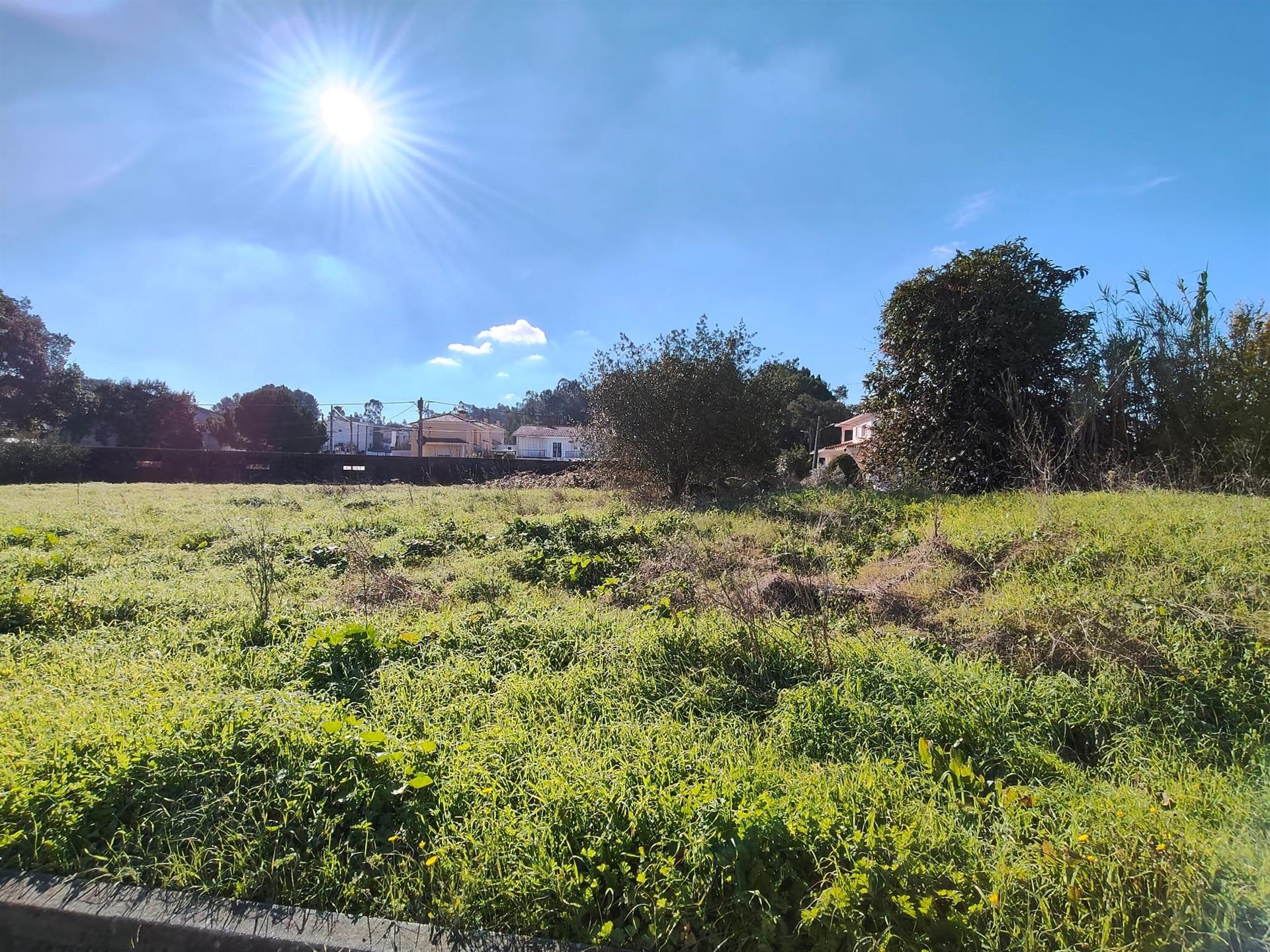 Terreno / Construção / Vale de Frade / Marrazes e Barosa / Leiria